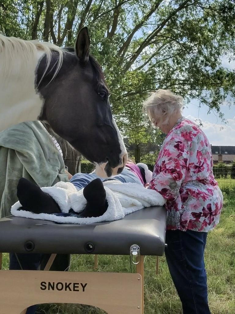 Reiki en paarden: hoe energiegevoelige dieren ons helpen helen
