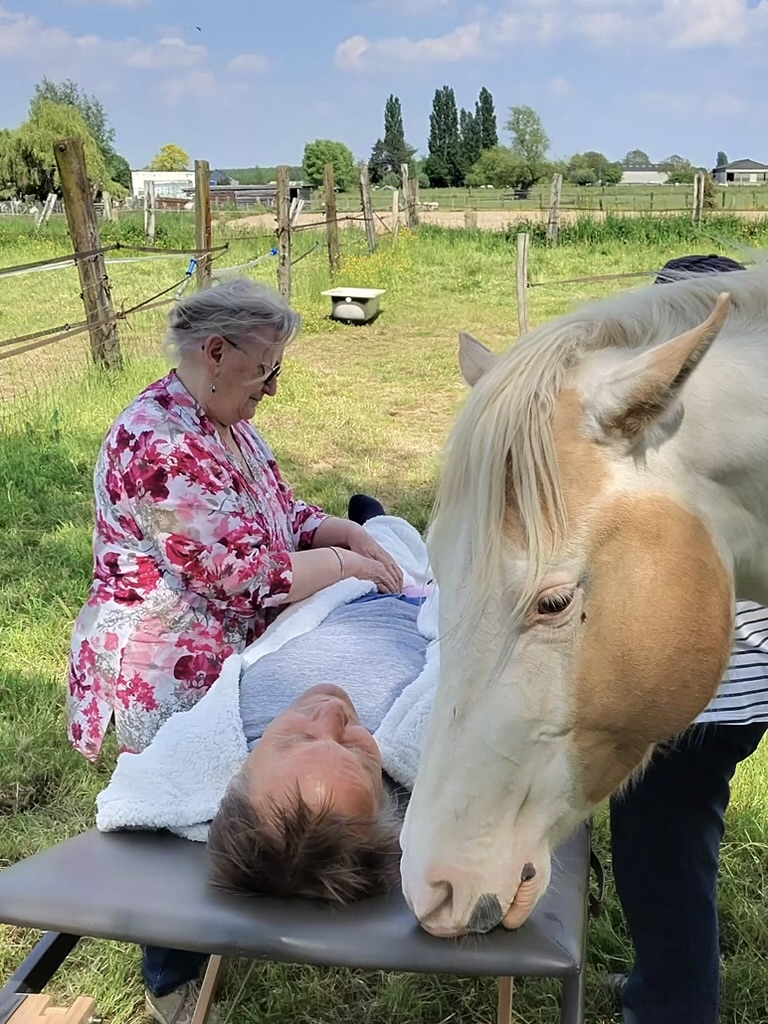 Reiki en paarden: hoe energiegevoelige dieren ons helpen helen — foto 1
