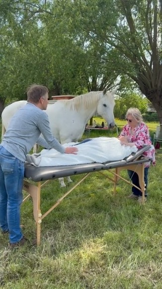 Reiki en paarden: hoe energiegevoelige dieren ons helpen helen — foto 2