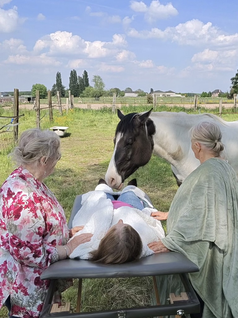 Reiki en paarden: hoe energiegevoelige dieren ons helpen helen — foto 3