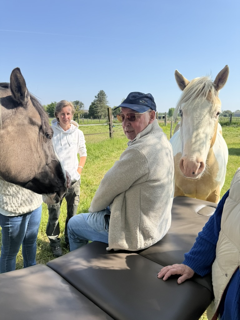 Reiki en paarden: hoe energiegevoelige dieren ons helpen helen — foto 6