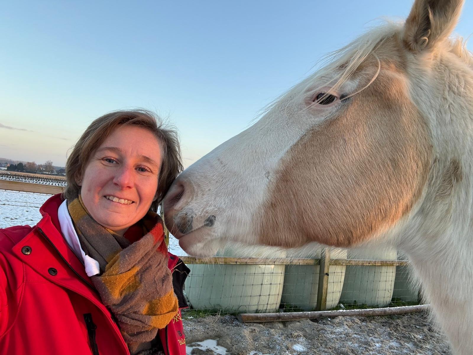 Vroeger was ik bang voor paarden en nu ben ik horse reflected coach