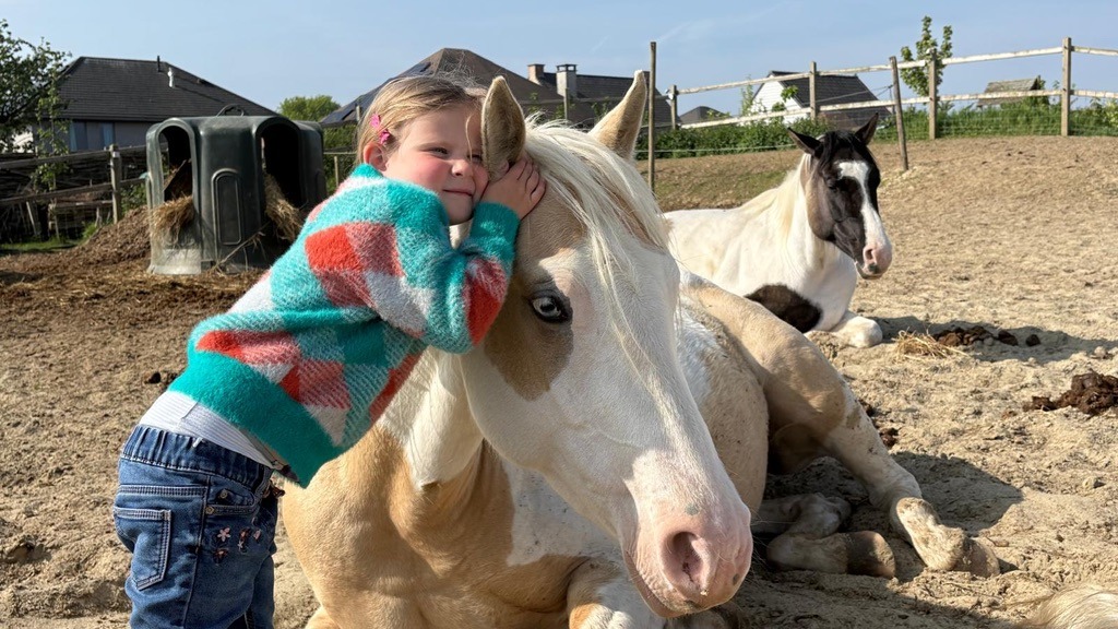 Reiki bij de paarden voor kinderen